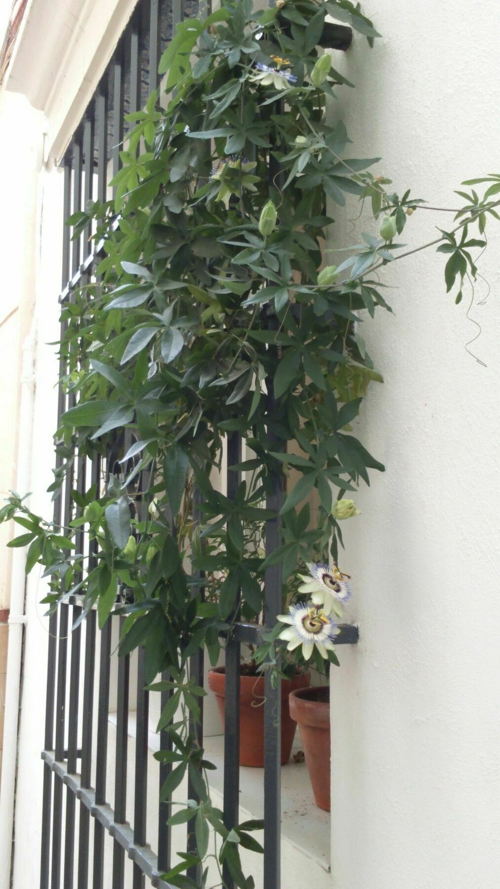 Maison d'hôtes La Via Mezquita 3*